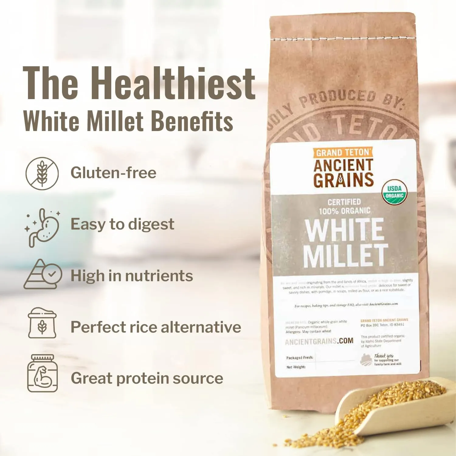 100% Organic White Millet by Grand Teton Ancient Grains | Shelled, Gluten-Free, Hulled Grain for Salads, Pilafs, & Soups | Whole Grain Ready for Milling, (5 Pounds)