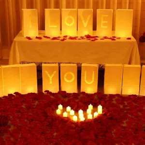 2230 Pcs Wedding Proposal Decorations Lighted Letters Sign Red Artificial Rose Petal Luminary Paper Bags Flameless LED Candle Tealight for Proposal Engagement Romantic Night