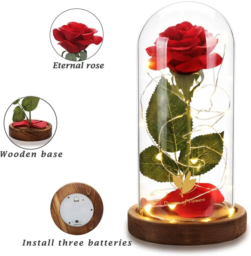 Beauty and The Beast Rose, Mothers Day Roses Gifts for Mom, Birthday Gifts for Women, Light Up Rose in Glass Dome, Eternal Rose Flower Gifts for Her, Rose Gifts Girlfriends for Wife