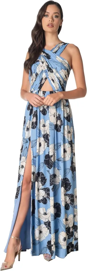 Dress the Population Women's Rose Fit and Flare Floor Length Dress