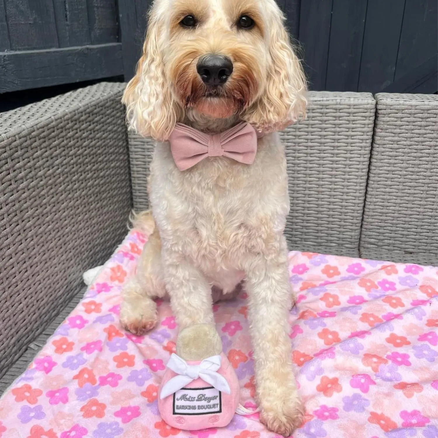 Haute Diggity Dog Miss Dogior Perfume, Plush Designer Dog Toys with Interactive Squeaker, Stimulating Pet Enrichment, Machine-Washable & Safe Materials for All Breeds, One Size