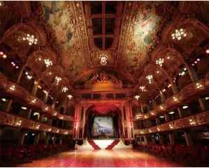 Luxurious Stage Backdrop for Photography Vintage Theatre Interior Show Backdrops Luxurious Opera House Drama Play Music Show Photo Backdrop Adult Portrait Vintage Photo Studio Props 10x8ft