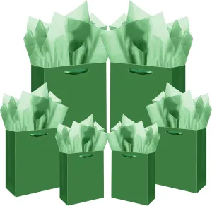 qiqee Deep Green Gift Bags with Tissue Paper Mulit Assorted Sizes 10PCS Present Party Favor Birthday Bags(2pcs Large 13", 4pcs Medium 9", 4pcs Small 6"，30pcs Tissue Paper)