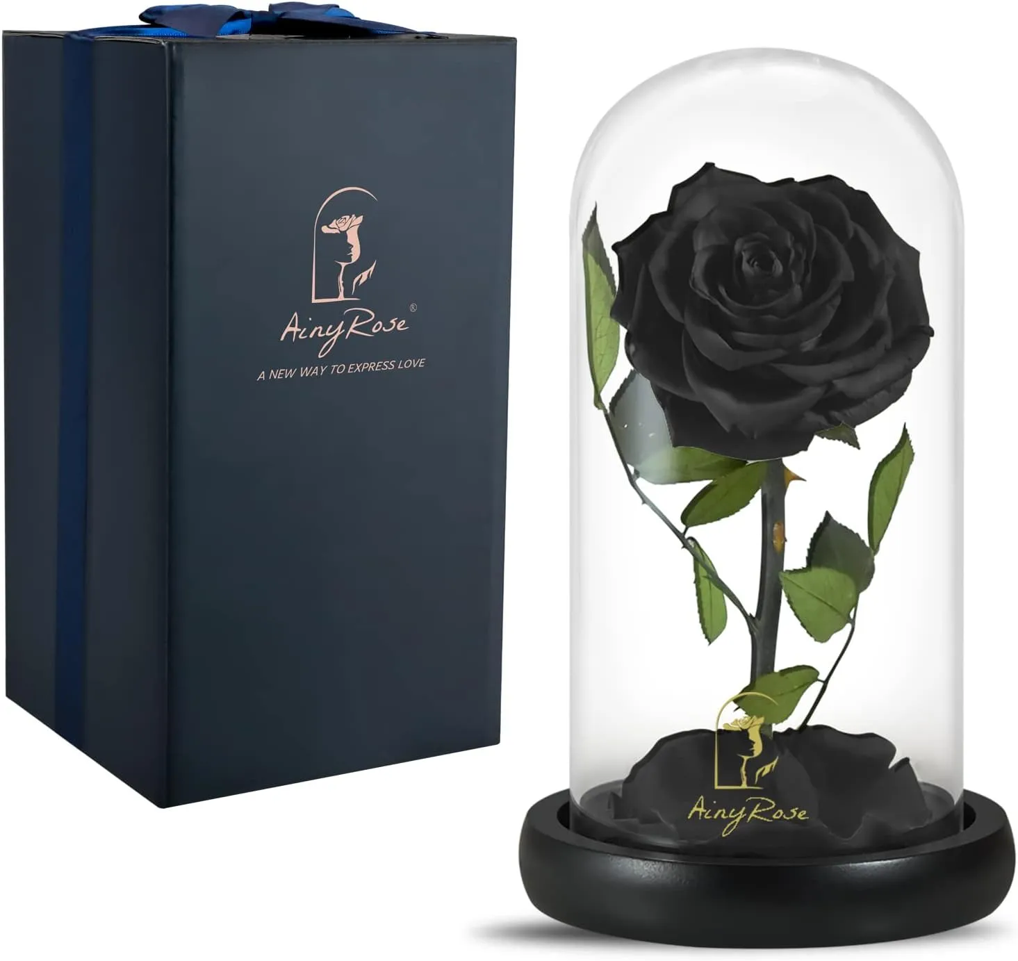 SW Forever Preserved Real Black Rose Flower Birthday Gifts for Mom Women,Valentines Eternal Flower in Glass Gifts for Valentine's Day Mothers Day Christmas Anniversary Birthday (Black)