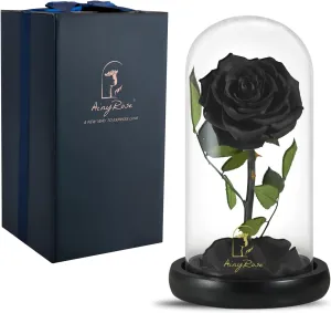 SW Forever Preserved Real Black Rose Flower Birthday Gifts for Mom Women,Valentines Eternal Flower in Glass Gifts for Valentine's Day Mothers Day Christmas Anniversary Birthday (Black)