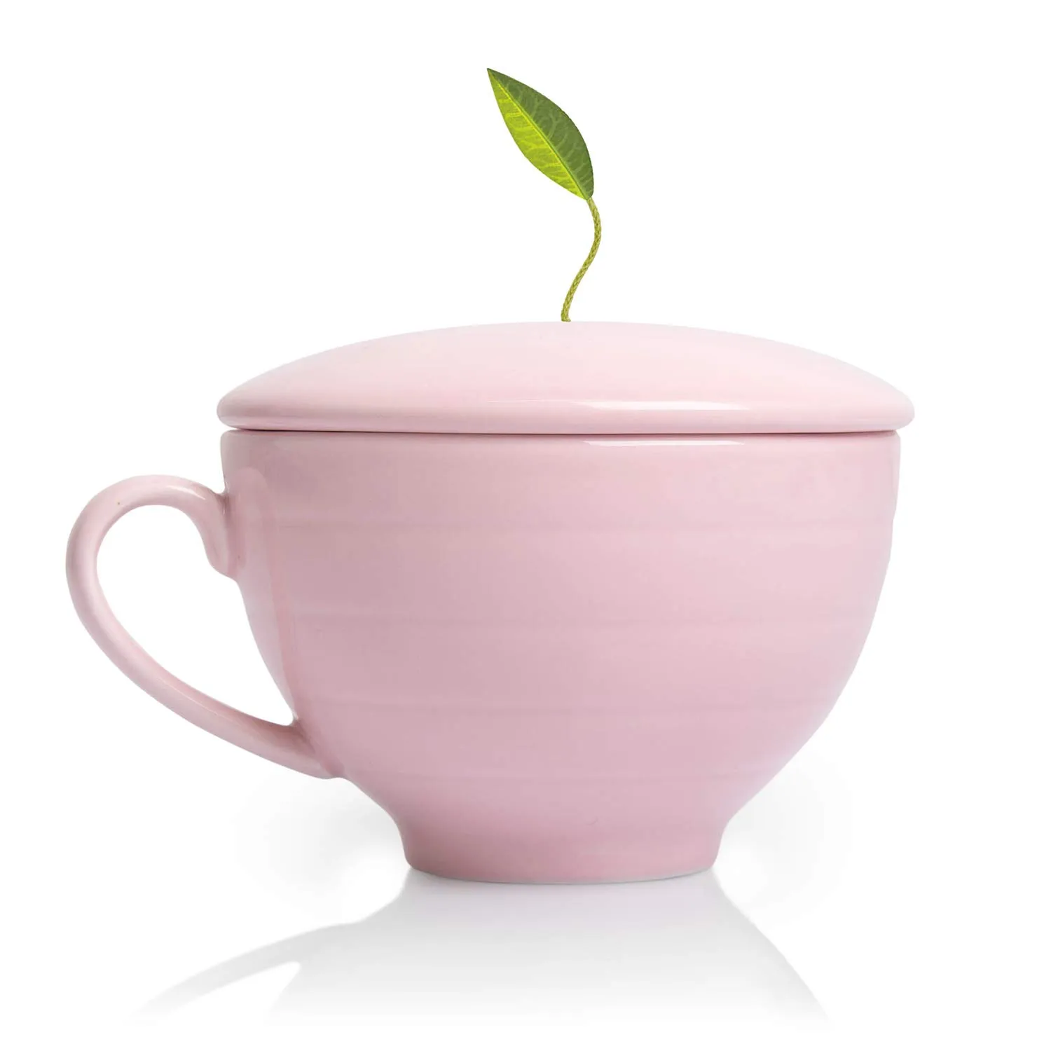 Tea Forte Jardin 3-Piece Mother's Day Tea Gift Set with Rose Pink Cafe Cup with Lid, Tea Tray and 10 Assorted 2 of Each Variety Organic Handcrafted Pyramid Infuser Tea Bags